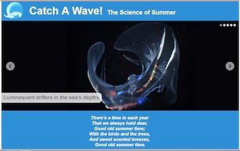 Cover of National Science Foundation report: Catch a wave!